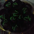 Cooksnap dari Tatik-Meta Bee untuk resep Bola bola coklat roti marie