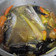 Cooksnap dari Gita Satya Ananda untuk resep Pindang ikan gembung kuah kuning