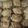 Jme812's cooksnap of when they made Apple Dumplings.