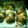 Cooksnap από Lilium 25072007 στη συνταγή Αφράτα τσουρέκια