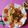 Neelima Rani's cooksnap of when they made Simple Tawa Pulao.
