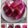 Cooksnap dari Elly Althaf untuk resep Pudding Buah Naga