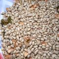 Cooksnap dari iceh🍒 untuk resep Kacang goreng bawang putih gurih renyah /kacang tuljin