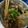 Cooksnap dari Syikkah Hayatun untuk resep Mie ayam jamur
