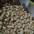 Cooksnap dari Yulia lestari untuk resep Kacang Bawang Gurih Anti Gagal