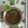 Pina Mandaliya's cooksnap of when they made ઉકાળો (Ukalo Recipe in Gujarati).