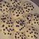 El cooksnap de Betania Reyes cuando hizo Galletas con chispas de chocolate !.