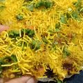 Neepa Shah's cooksnap of when they made સેવપુરી (Sevpuri Recipe in Gujarati).