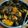Cooksnap dari Kaysan Abrisam untuk resep Seafood mix Saos Padang ala Cut The Crab