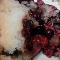 renee's cooksnap of when they made Blackberry Cobbler.