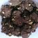 Cooksnap dari Adi Ratna untuk resep Coklat Chip Cookies