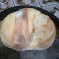 El cooksnap de Susana Gladis Gonzalez cuando hizo Pan de masa madre.