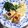 ふるーる＊mama's cooksnap of when they made さわらのフリット.