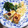 ふるーる＊mama's cooksnap of when they made さわらのフリット.