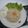 Cooksnap dari Syafa Syifa untuk resep Nasi Goreng Jadul Ndeso : Terasi