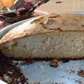El cooksnap de Sofia Plaza cuando hizo Torta de aceite.