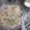Sonal Karia's cooksnap of when they made સામા ની ખીચડી (Sama Khichdi Recipe In Gujarati).