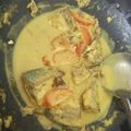 Cooksnap Along Fina semasa beliau membuat Gulai Kuning Ikan Selar.