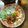 Cooksnap của Le Ngoc khi họ làm theo món Đậu hũ non sốt nấm