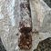 El cooksnap de Maria Del Mar Cotilla Atencia cuando hizo Salami de chocolate (salame di cioccolato).