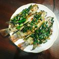 Cooksnap của Tâm Tiny khi họ làm theo món Cá rô phi chiên giòn