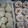 El cooksnap de Anabel Alanis cuando hizo Donuts Rellenos de Crema de Vainilla Thermomix.