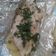 El cooksnap de Foximiliano De Habsburgo cuando hizo Pescado empapelado con papas-2.