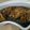 Cooksnap dari Cinderani untuk resep Ayam Kecap Pedas