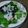Cooksnap dari Wawia Ni Made untuk resep Wakame Salad