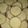 El cooksnap de Salvadora Galarza cuando hizo Alfajores tipo de maicena, RECETA para guardar. Nunca falla!!!.