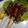 Cooksnap dari Irma Anisa untuk resep Sate Tempe