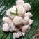 Cooksnap dari Ervin Agus Widianto untuk resep Klepon ubi kuning