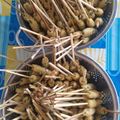 Cooksnap dari RN Amry untuk resep Sempol ayam