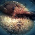jasmine82's cooksnap of when they made Creamy Crockpot Chicken & Brown Rice.