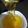کوک اسنپ Miss Ramezani بعد از امتحان کردن طرز تهیه گلوکز Glucose.