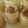 El cooksnap de Vale Willow cuando hizo Postre serenito casero.