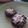 El cooksnap de Belén Casalía cuando hizo Portobello relleno.
