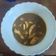El cooksnap de Antonia Postigo cuando hizo Tiras de potón encebolladas en MC.