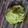 Cooksnap dari Adisti Dwi Utami untuk resep Mashed Potato with Brocolli