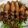 Ronald Chan 的 薑絲炒小卷 cooksnap