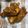Cooksnap dari Mutiara Dyah Pitaloka untuk resep Ayam kremes simple