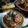 Cooksnap dari IfaRaa untuk resep Nangka Goreng