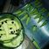 Cooksnap dari Riiridory Fitriani untuk resep Kue Semprit Susu Ulat Daun