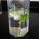 Cooksnap από Ratna Lalwani στη συνταγή Detox water 🩵🩵🩵 με αγγούρι, τζίντζερ κ.α. 🥒🍋🫚🌿