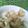 Cooksnap dari ismiati untuk resep Singkong rebus lembut