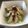 El cooksnap de Rosal cuando hizo Ensalada de marisco.