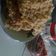 Cooksnap dari Astri untuk resep Kremesan Bersarang Tanpa Tangan Belepotan