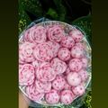 Cooksnap dari Kholis Aqila untuk resep Kue cantik manis praktis