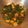 Sudipa Gope's cooksnap of when they made Aloo Methi.