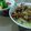 Cooksnap dari Danny Fitri Mulyanti untuk resep Soto Medan
